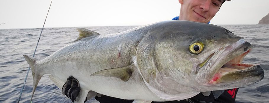 pêche du tassergal