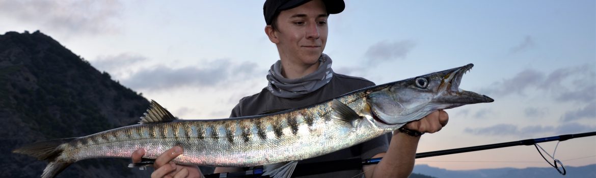 pêche barracuda